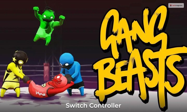 Gang Beasts Controls Switch Controller
