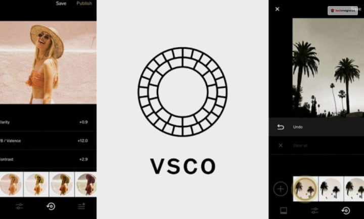 What Is VSCO Search